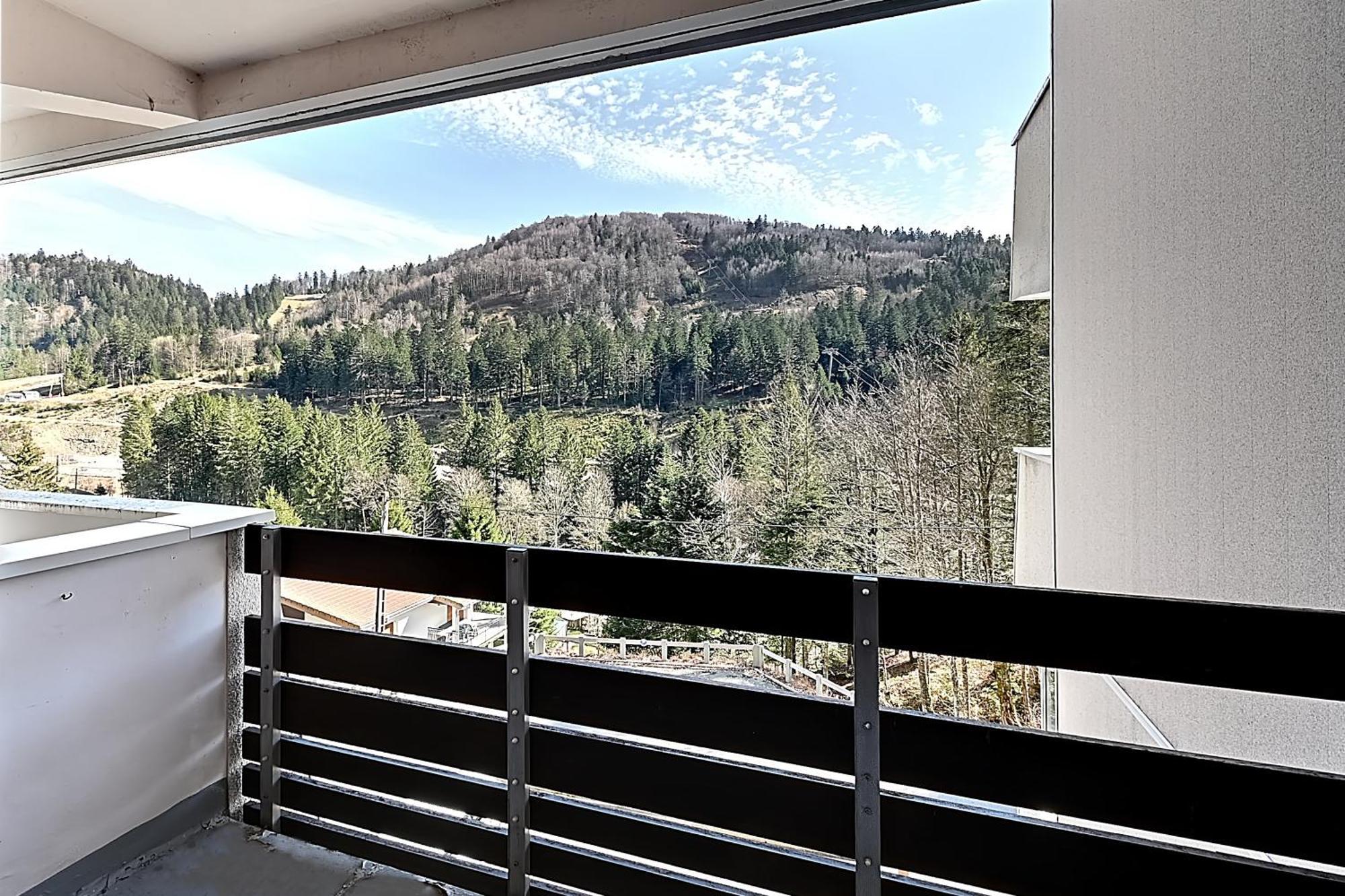 Le Cocoon - Appt Vue Montagne Apartment La Bresse Luaran gambar