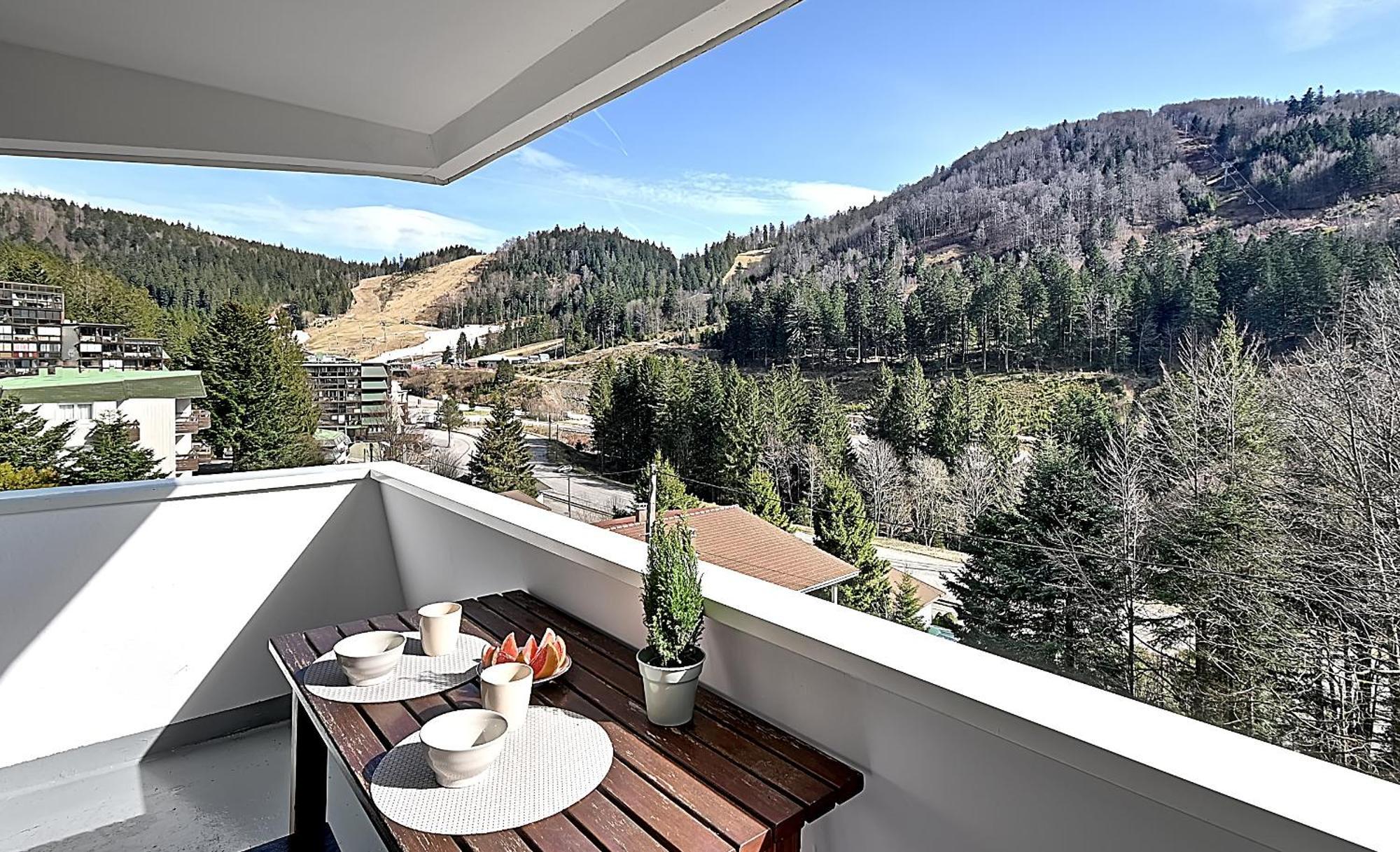 Le Cocoon - Appt Vue Montagne Apartment La Bresse Luaran gambar