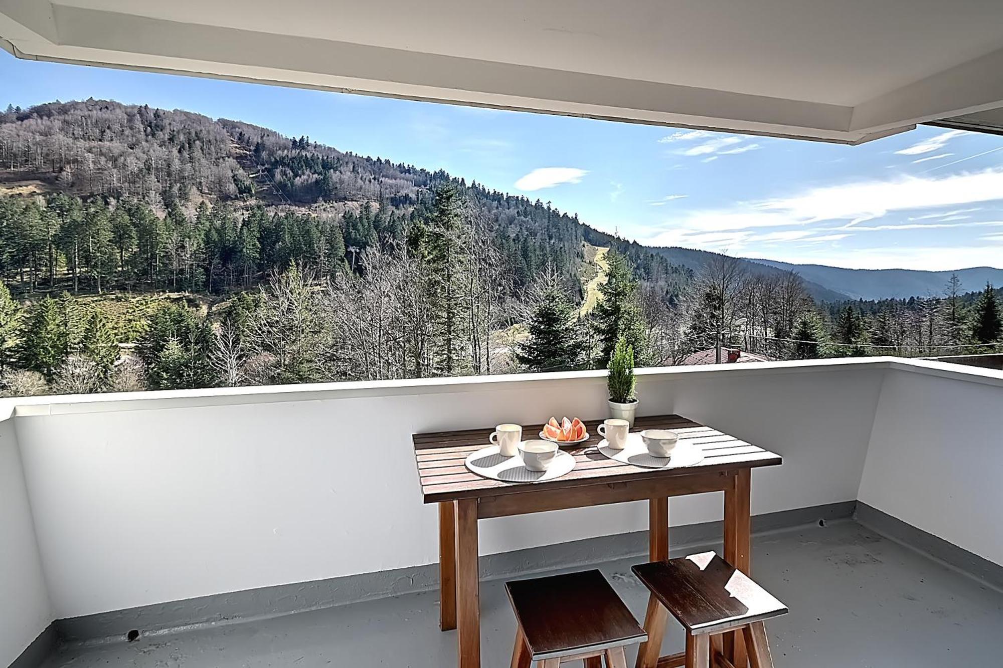 Le Cocoon - Appt Vue Montagne Apartment La Bresse Luaran gambar